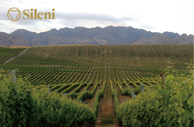 10月5日(土) メーカーズディナー（Sileni Estates）開催