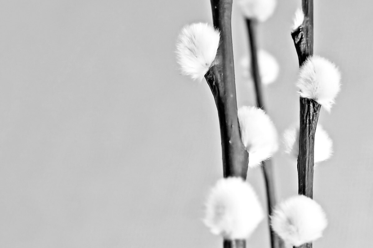 Post with Slider
