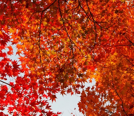 Post with Slider